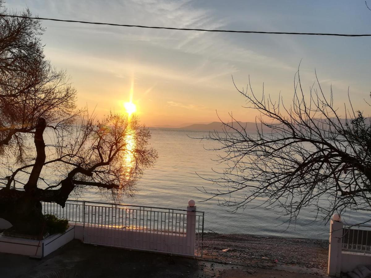Akrogiali Agiokampos  Dış mekan fotoğraf